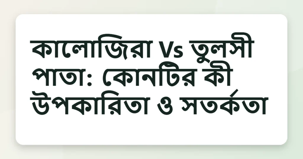 Article title card for কালোজিরা Vs তুলসী পাতা: কোনটির কী উপকারিতা ও সতর্কতা